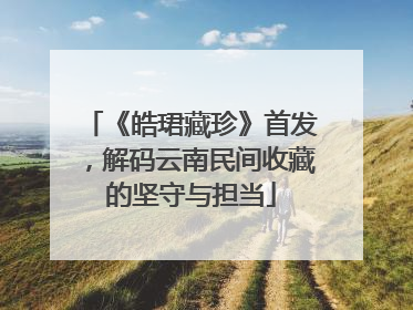 《皓珺藏珍》首发，解码云南民间收藏的坚守与担当