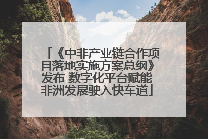 《中非产业链合作项目落地实施方案总纲》发布 数字化平台赋能非洲发展驶入快车道