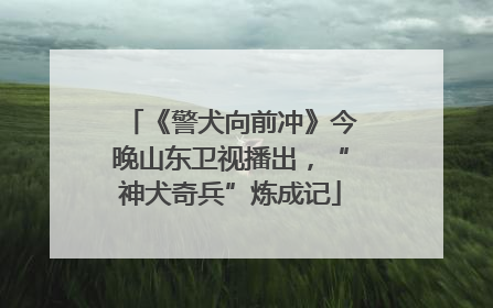 《警犬向前冲》今晚山东卫视播出，“神犬奇兵”炼成记