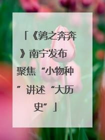 《鹑之奔奔》南宁发布 聚焦“小物种”讲述“大历史”
