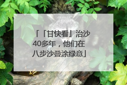「甘快看」治沙40多年，他们在八步沙叠涂绿意