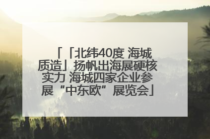 「北纬40度 海城质造」扬帆出海展硬核实力 海城四家企业参展“中东欧”展览会