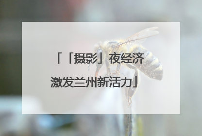 「摄影」夜经济激发兰州新活力