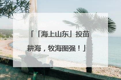 「海上山东」投苗耕海，牧海图强！