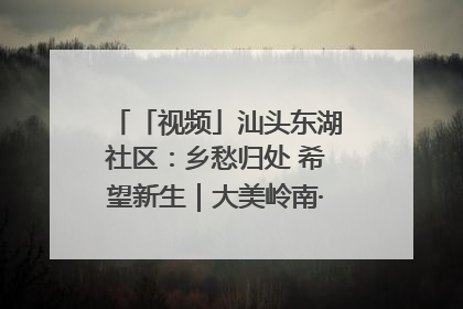 「视频」汕头东湖社区：乡愁归处 希望新生｜大美岭南·百村焕新记