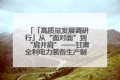 「高质量发展调研行」从“面对面”到“肩并肩”——甘肃全利电力装备生产制造项目一线见闻