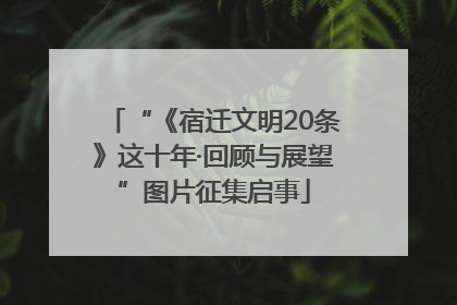 “《宿迁文明20条》这十年·回顾与展望”图片征集启事