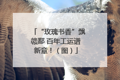 “玫瑰书香”飘赣鄱 百年工运谱新章！（图）