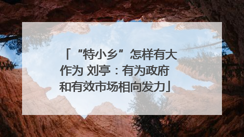 “特小乡”怎样有大作为 刘亭：有为政府和有效市场相向发力