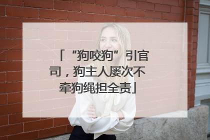 “狗咬狗”引官司，狗主人屡次不牵狗绳担全责