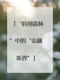 “科创森林”中的“金融新界”