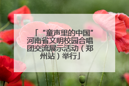 “童声里的中国”河南省文明校园合唱团交流展示活动（郑州站）举行