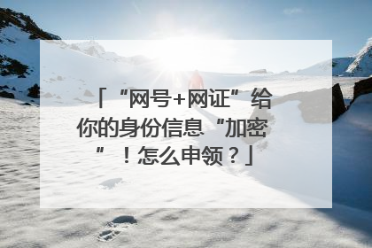 “网号+网证”给你的身份信息“加密”！怎么申领？