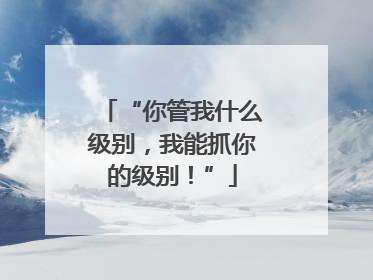 “你管我什么级别，我能抓你的级别！”