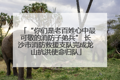 “你们是老百姓心中最可敬的消防子弟兵” 长沙市消防救援支队完成龙山抗洪使命归队