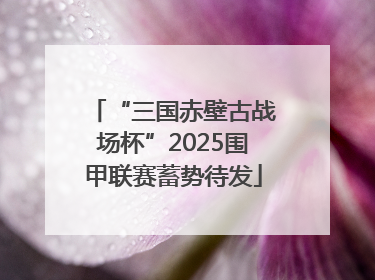 “三国赤壁古战场杯”2025围甲联赛蓄势待发