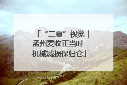 “三夏”视觉｜孟州麦收正当时 机械减损保归仓
