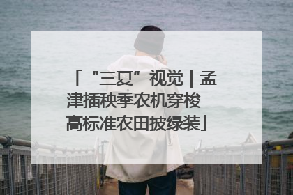 “三夏”视觉｜孟津插秧季农机穿梭 高标准农田披绿装
