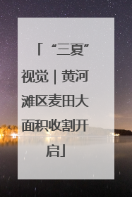 “三夏”视觉｜黄河滩区麦田大面积收割开启