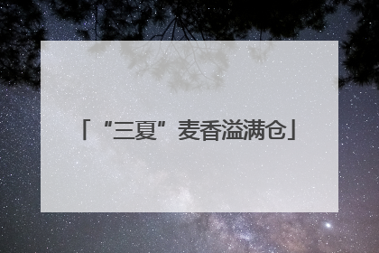 “三夏”麦香溢满仓