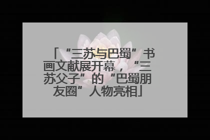 “三苏与巴蜀”书画文献展开幕，“三苏父子”的“巴蜀朋友圈”人物亮相