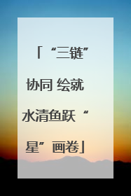 “三链”协同 绘就水清鱼跃“星”画卷