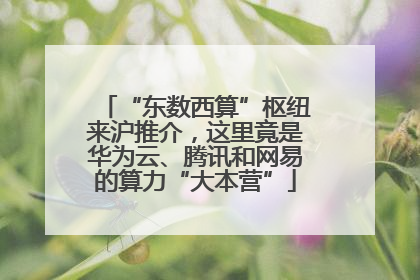 “东数西算”枢纽来沪推介，这里竟是华为云、腾讯和网易的算力“大本营”