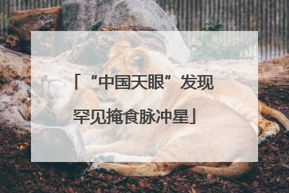 “中国天眼”发现罕见掩食脉冲星