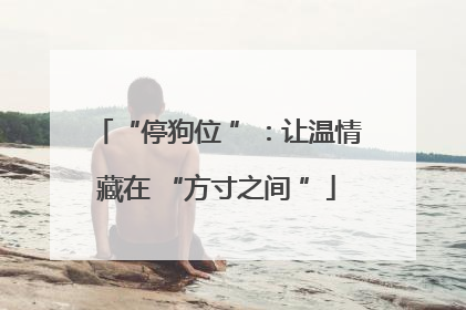 “停狗位 ”：让温情藏在 “方寸之间 ”