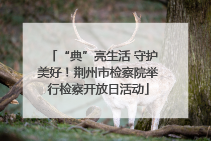 “典”亮生活 守护美好！荆州市检察院举行检察开放日活动