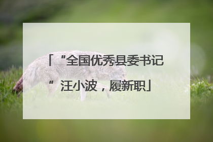 “全国优秀县委书记”汪小波，履新职