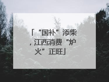 “国补”添柴，江西消费“炉火”正旺