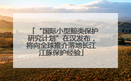 “国际小型鲸类保护研究计划”在汉发布，将向全球推介落地长江江豚保护经验