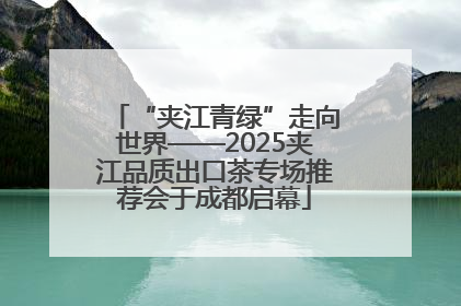 “夹江青绿”走向世界——2025夹江品质出口茶专场推荐会于成都启幕