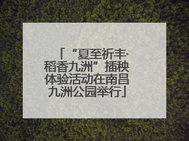 “夏至祈丰·稻香九洲”插秧体验活动在南昌九洲公园举行