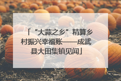 “大蒜之乡”精算乡村振兴幸福账——成武县大田集镇见闻