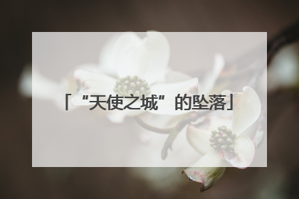 “天使之城”的坠落