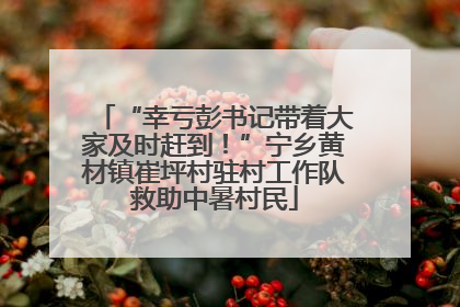 “幸亏彭书记带着大家及时赶到！”宁乡黄材镇崔坪村驻村工作队救助中暑村民
