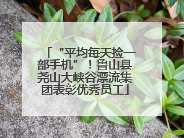 “平均每天捡一部手机”！鲁山县尧山大峡谷漂流集团表彰优秀员工