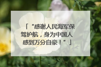 “感谢人民海军保驾护航，身为中国人感到万分自豪！”