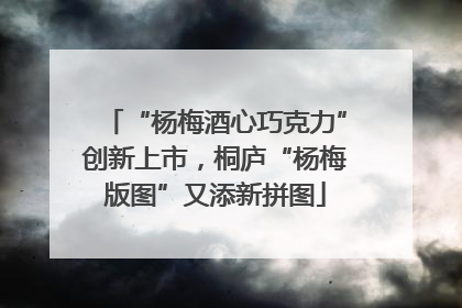 “杨梅酒心巧克力”创新上市，桐庐“杨梅版图”又添新拼图