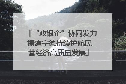 “政银企”协同发力 福建宁德持续护航民营经济高质量发展