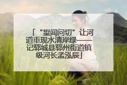 “望闻问切”让河道重现水清岸绿——记郓城县郓州街道镇级河长孟泓辰