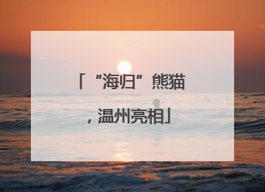 “海归”熊猫，温州亮相