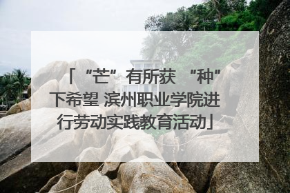 “芒”有所获 “种”下希望 滨州职业学院进行劳动实践教育活动