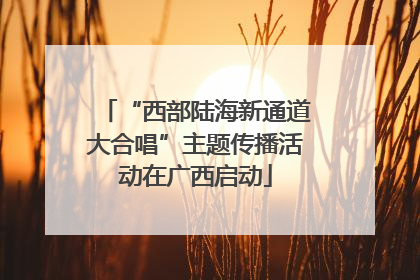“西部陆海新通道大合唱”主题传播活动在广西启动