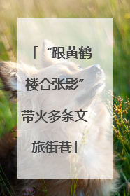 “跟黄鹤楼合张影”带火多条文旅街巷
