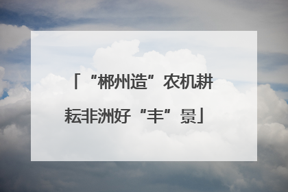 “郴州造”农机耕耘非洲好“丰”景