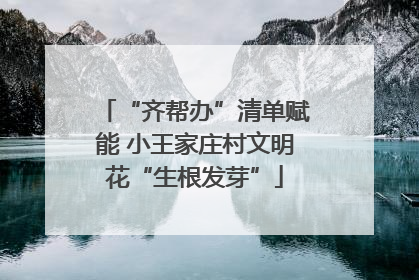 “齐帮办”清单赋能 小王家庄村文明花“生根发芽”