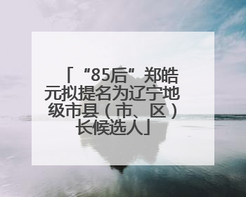 “85后”郑皓元拟提名为辽宁地级市县（市、区）长候选人